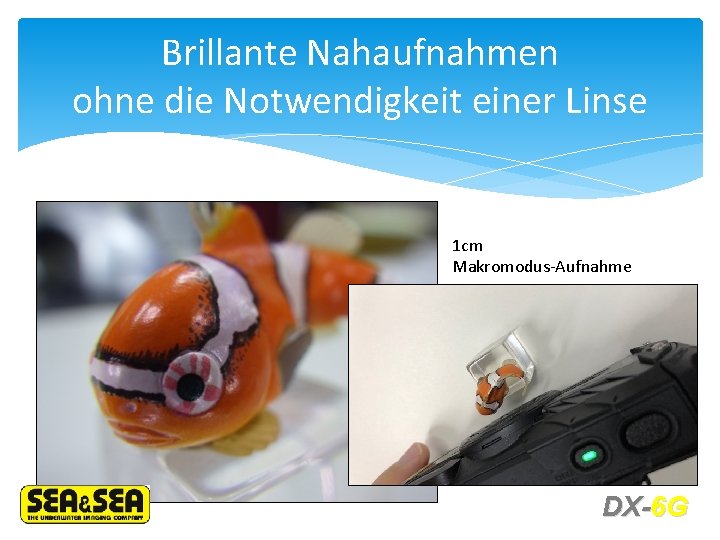 Brillante Nahaufnahmen ohne die Notwendigkeit einer Linse 1 cm Makromodus-Aufnahme DX-6 G 