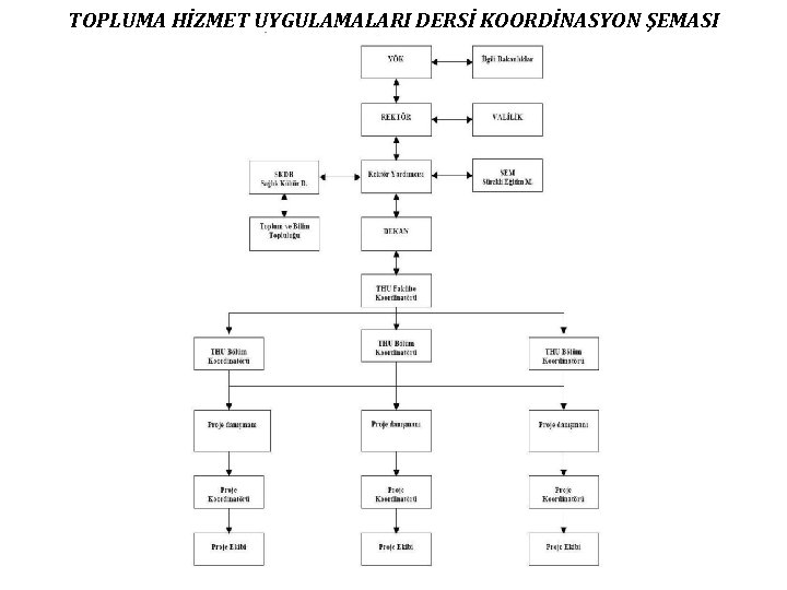 TOPLUMA HİZMET UYGULAMALARI DERSİ KOORDİNASYON ŞEMASI 