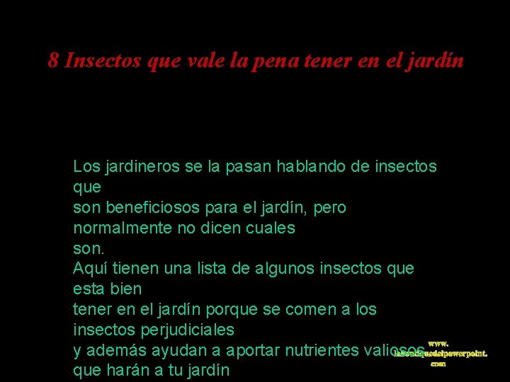 8 Insectos que vale la pena tener en el jardín Los jardineros se la