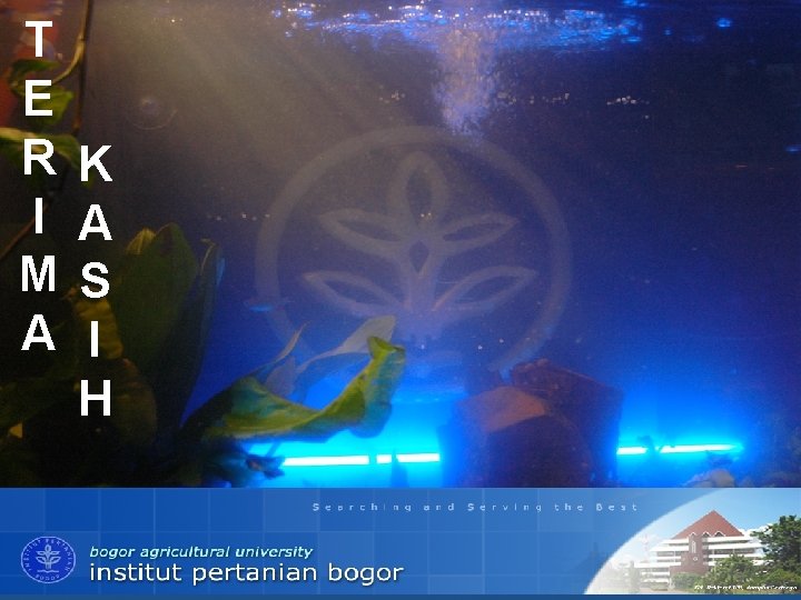 T E R I M A K A S I H INSTITUT PERTANIAN BOGOR