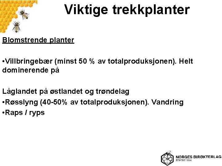 Viktige trekkplanter Blomstrende planter • Villbringebær (minst 50 % av totalproduksjonen). Helt dominerende på