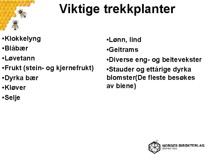 Viktige trekkplanter • Klokkelyng • Blåbær • Løvetann • Frukt (stein- og kjernefrukt) •