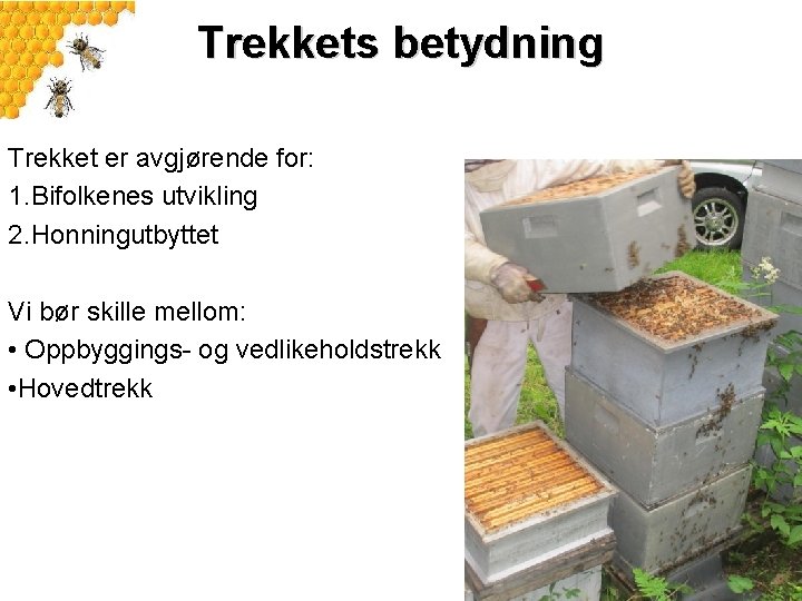 Trekkets betydning Trekket er avgjørende for: 1. Bifolkenes utvikling 2. Honningutbyttet Vi bør skille