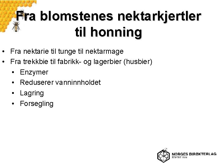 Fra blomstenes nektarkjertler til honning • Fra nektarie til tunge til nektarmage • Fra