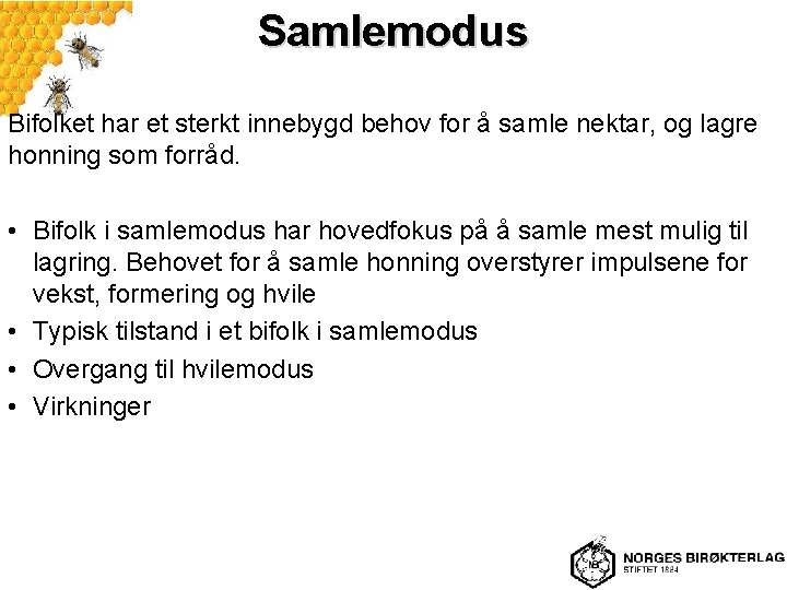 Samlemodus Bifolket har et sterkt innebygd behov for å samle nektar, og lagre honning