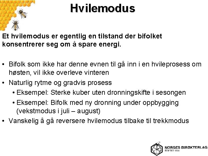 Hvilemodus Et hvilemodus er egentlig en tilstand der bifolket konsentrerer seg om å spare