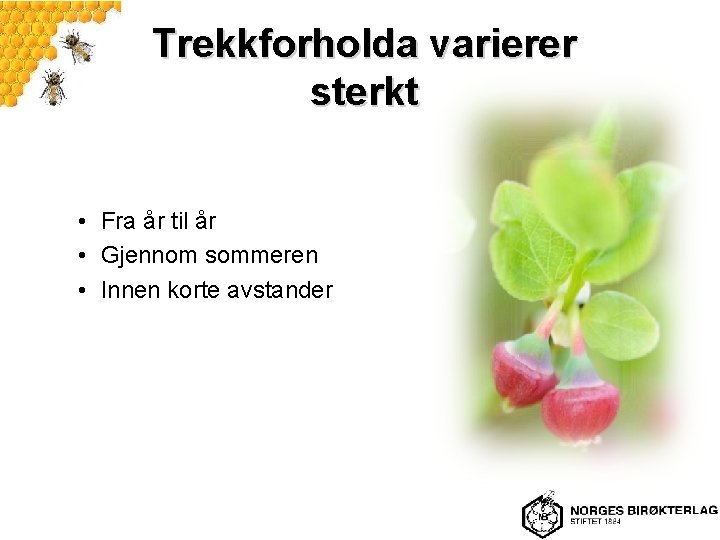 Trekkforholda varierer sterkt • Fra år til år • Gjennom sommeren • Innen korte