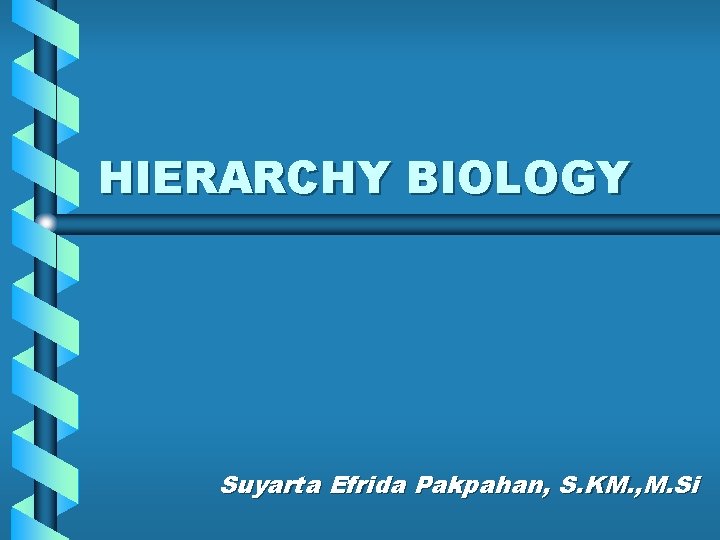 HIERARCHY BIOLOGY Suyarta Efrida Pakpahan, S. KM. , M. Si 
