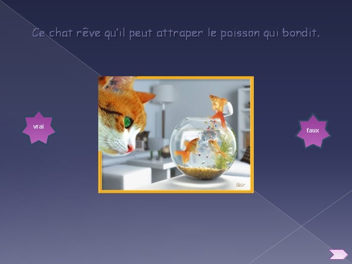 Histoires De Chats Confusions Et Inversions Christine Barthlmy Histoires De Chats Confusions Et Inversions Christine Barthlmy