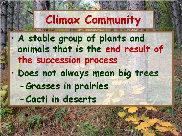 Climax Community • A stable group of plants and animals that is the end