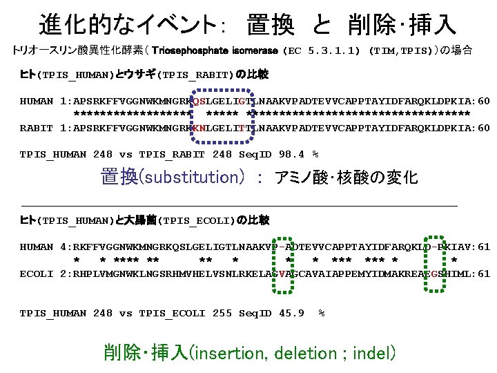 進化的なイベント：　置換　と　削除･挿入 トリオースリン酸異性化酵素（ Triosephosphate isomerase (EC 5. 3. 1. 1) (TIM, TPIS)）の場合 ヒト(TPIS_HUMAN)とウサギ(TPIS_RABIT)の比較 HUMAN 1: