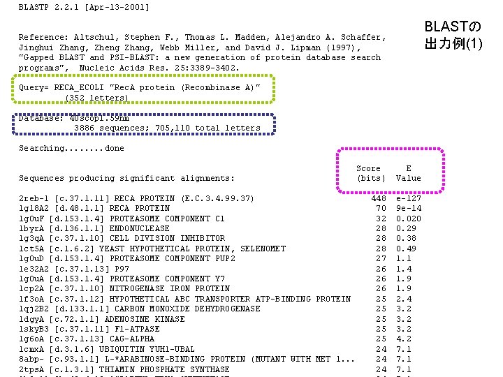 BLASTP 2. 2. 1 [Apr-13 -2001] BLASTの 出力例(1) Reference: Altschul, Stephen F. , Thomas