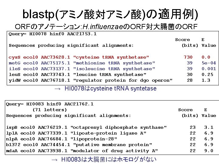 blastp(アミノ酸対アミノ酸)の適用例) ORFのアノテーション: H. influenzaeのORF対大腸菌のORF Query= HI 0078 hinf 0 AAC 21753. 1 Sequences producing