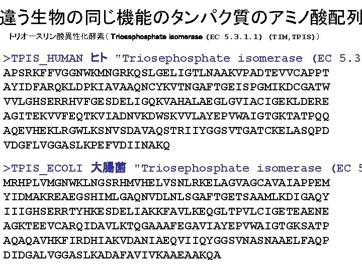 違う生物の同じ機能のタンパク質のアミノ酸配列 トリオースリン酸異性化酵素（ Triosephosphate isomerase (EC 5. 3. 1. 1) (TIM, TPIS)） >TPIS_HUMAN ヒト "Triosephosphate