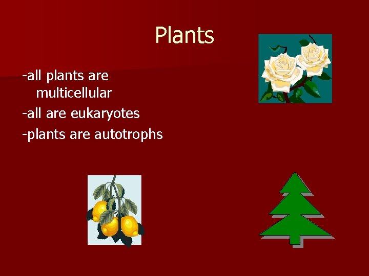 Plants -all plants are multicellular -all are eukaryotes -plants are autotrophs 