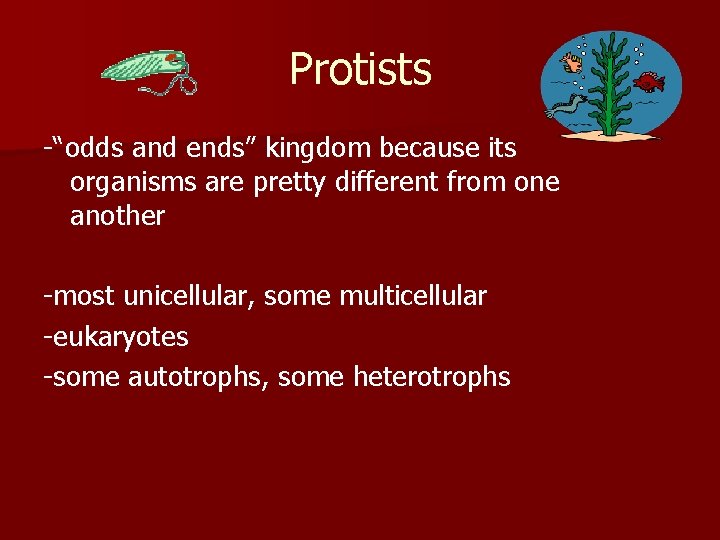 Protists -“odds and ends” kingdom because its organisms are pretty different from one another