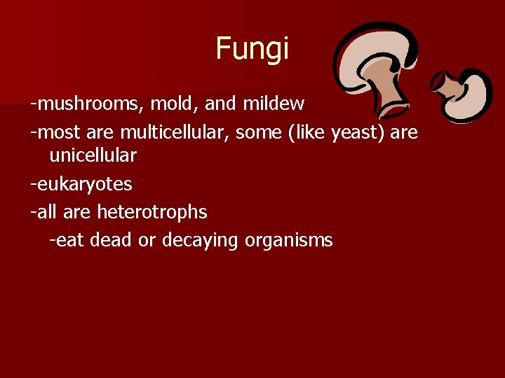 Fungi -mushrooms, mold, and mildew -most are multicellular, some (like yeast) are unicellular -eukaryotes