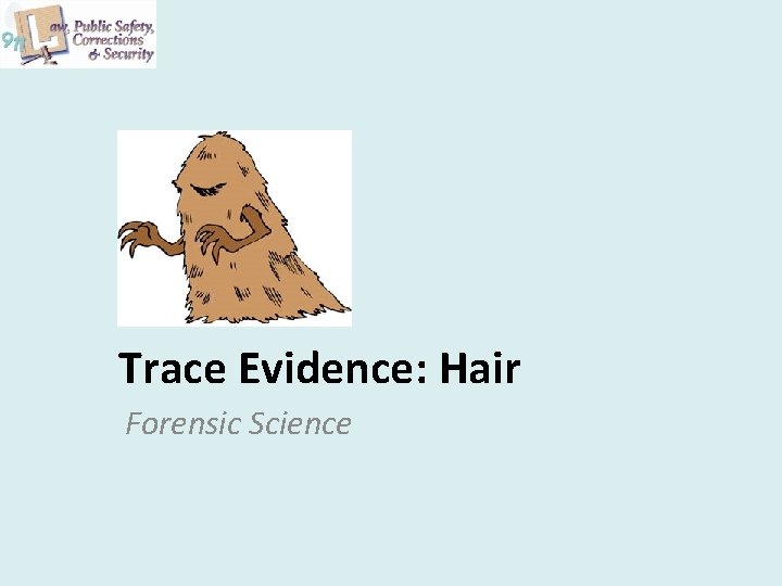 Trace Evidence: Hair Forensic Science 