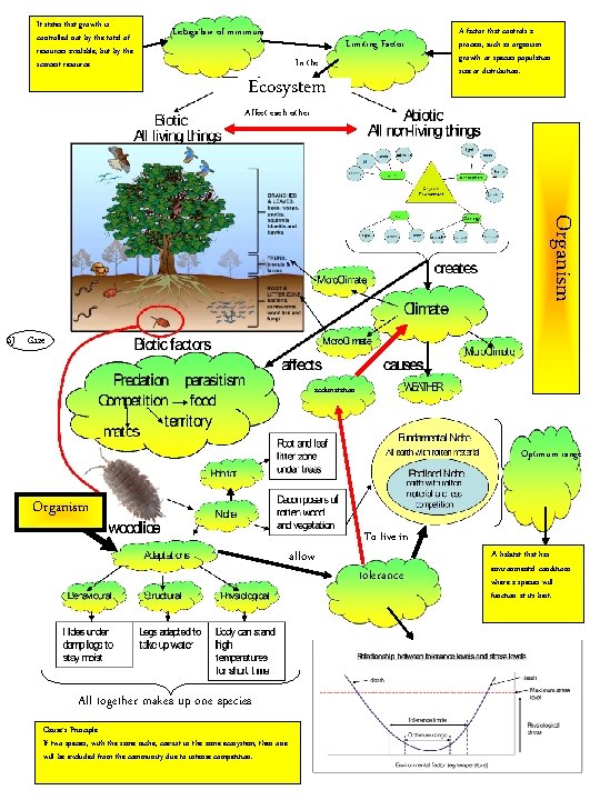 It states that growth is controlled not by the total of resources available, but