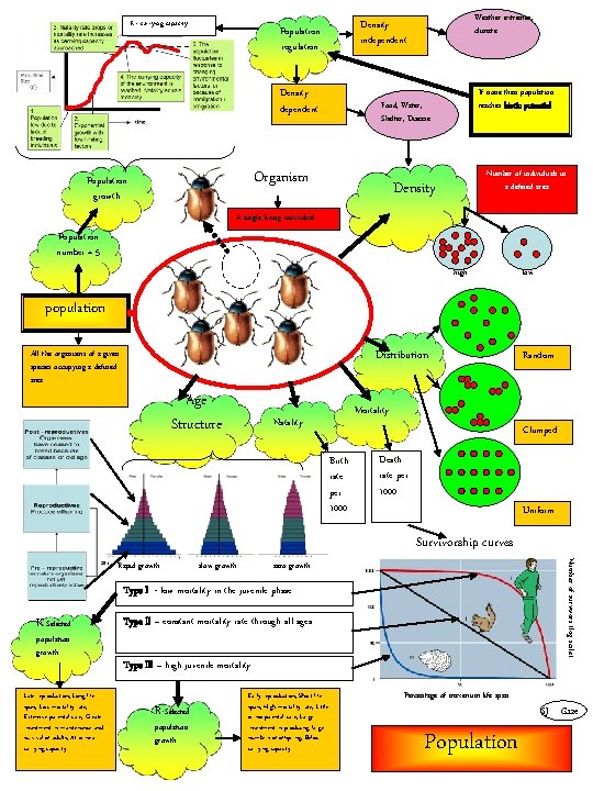 K= carrying capacity Density dependent If none then population reaches biotic potential Food, Water,