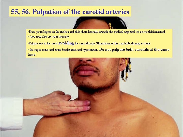 55, 56. Palpation of the carotid arteries • Place your fingers on the trachea
