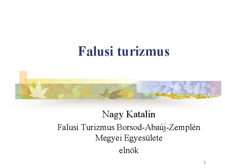 Falusi turizmus Nagy Katalin Falusi Turizmus Borsod-Abaúj-Zemplén Megyei Egyesülete elnök 1 