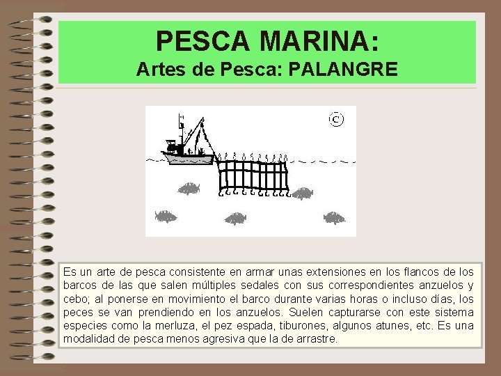 PESCA MARINA: Artes de Pesca: PALANGRE Es un arte de pesca consistente en armar