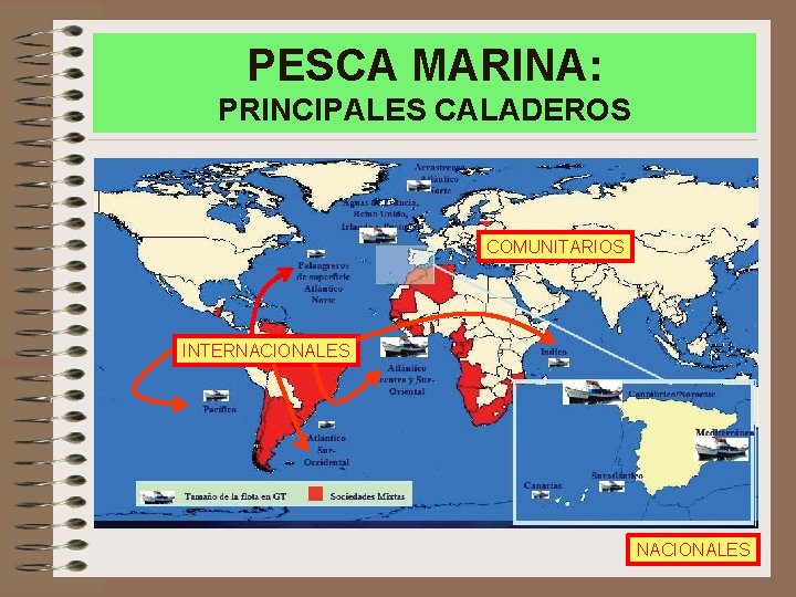 PESCA MARINA: PRINCIPALES CALADEROS COMUNITARIOS INTERNACIONALES 