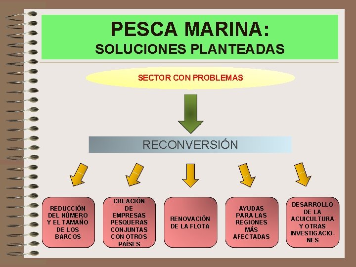 PESCA MARINA: SOLUCIONES PLANTEADAS SECTOR CON PROBLEMAS RECONVERSIÓN REDUCCIÓN DEL NÚMERO Y EL TAMAÑO