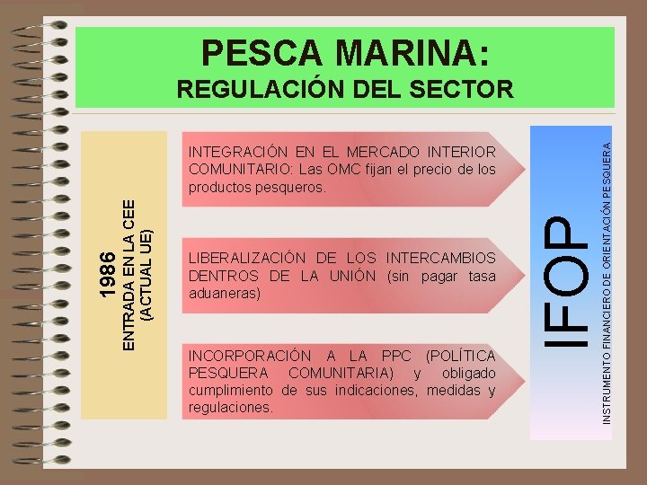 PESCA MARINA: LIBERALIZACIÓN DE LOS INTERCAMBIOS DENTROS DE LA UNIÓN (sin pagar tasa aduaneras)