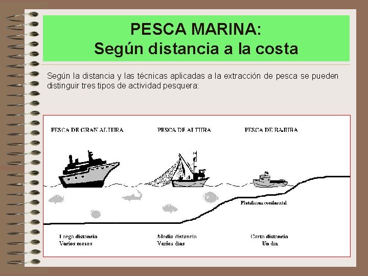 PESCA MARINA: Según distancia a la costa Según la distancia y las técnicas aplicadas