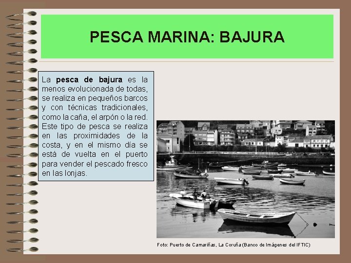 PESCA MARINA: BAJURA La pesca de bajura es la menos evolucionada de todas, se