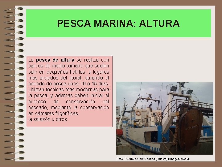 PESCA MARINA: ALTURA La pesca de altura se realiza con barcos de medio tamaño