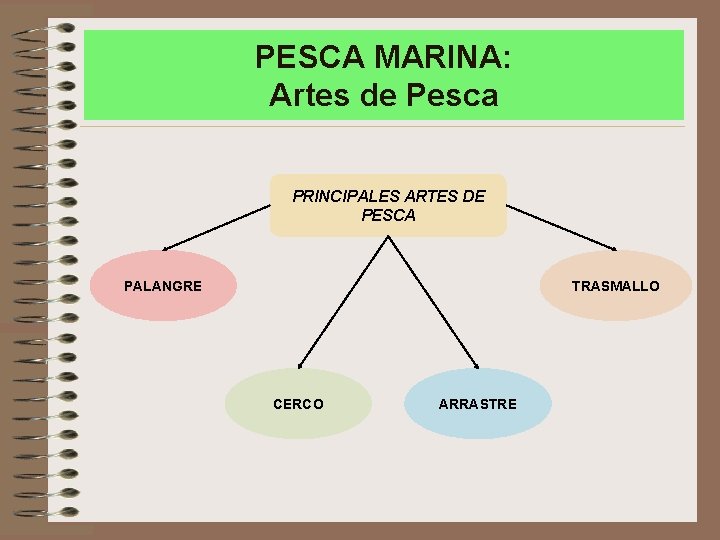 PESCA MARINA: Artes de Pesca PRINCIPALES ARTES DE PESCA PALANGRE TRASMALLO CERCO ARRASTRE 