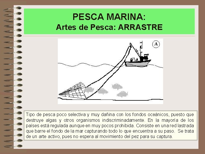 PESCA MARINA: Artes de Pesca: ARRASTRE Tipo de pesca poco selectiva y muy dañina