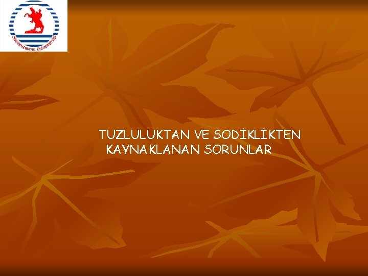 TUZLULUKTAN VE SODİKLİKTEN KAYNAKLANAN SORUNLAR 