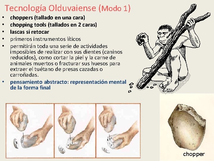 Tecnología Olduvaiense (Modo 1) choppers (tallado en una cara) chopping tools (tallados en 2 Tecnología Olduvaiense (Modo 1) choppers (tallado en una cara) chopping tools (tallados en 2