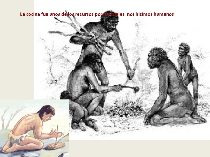 La cocina fue unos de los recursos por los cuales nos hicimos humanos La cocina fue unos de los recursos por los cuales nos hicimos humanos