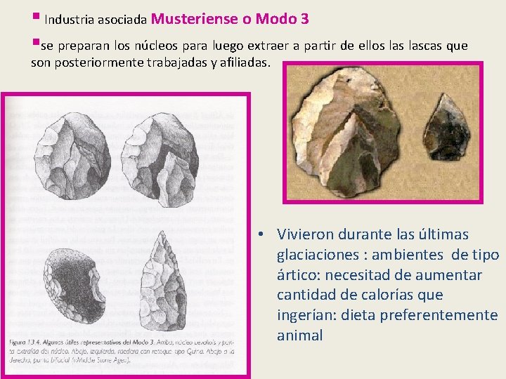 § Industria asociada Musteriense o Modo 3 §se preparan los núcleos para luego extraer § Industria asociada Musteriense o Modo 3 §se preparan los núcleos para luego extraer