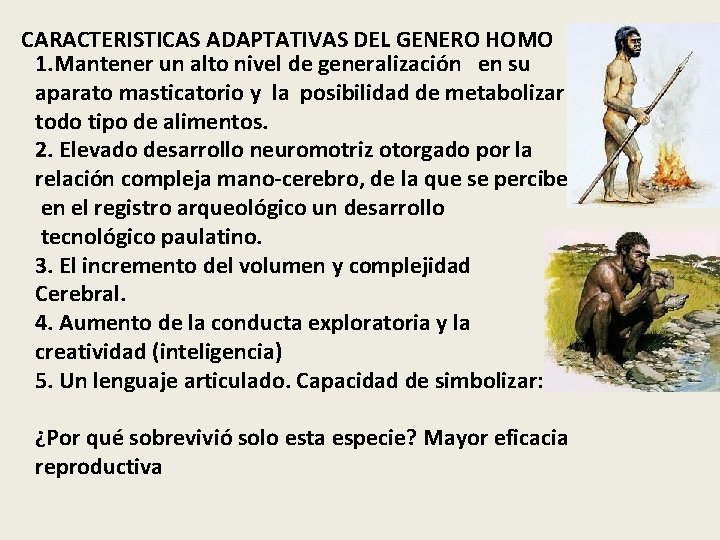 CARACTERISTICAS ADAPTATIVAS DEL GENERO HOMO 1. Mantener un alto nivel de generalización en su CARACTERISTICAS ADAPTATIVAS DEL GENERO HOMO 1. Mantener un alto nivel de generalización en su