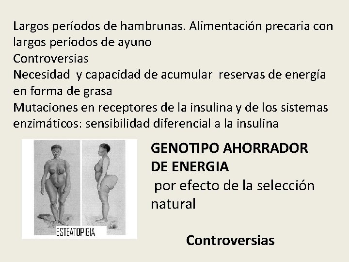Largos períodos de hambrunas. Alimentación precaria con largos períodos de ayuno Controversias Necesidad y Largos períodos de hambrunas. Alimentación precaria con largos períodos de ayuno Controversias Necesidad y