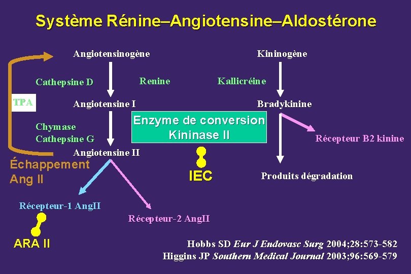 Système Rénine–Angiotensine–Aldostérone Angiotensinogène Renine Cathepsine D TPA Kininogène Kallicréine Angiotensine I Bradykinine Enzyme de