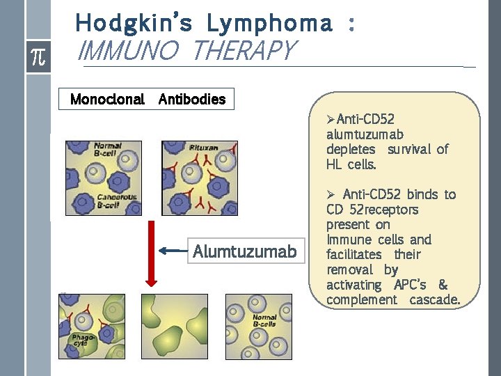 Hodgkin’s Lymphoma : IMMUNO THERAPY Monoclonal Antibodies ØAnti-CD 52 alumtuzumab depletes survival of HL