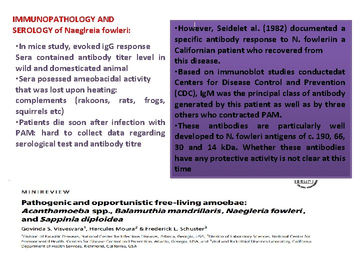 IMMUNOPATHOLOGY AND SEROLOGY of Naeglreia fowleri: • However, Seidelet al. (1982) documented a specific