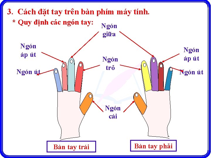 3. Cách đặt tay trên bàn phím máy tính. * Quy định các ngón