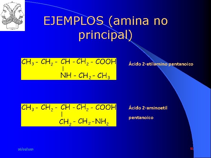 EJEMPLOS (amina no principal) www. profesorjano. com Ácido 2 -etilamino pentanoico Ácido 2 -aminoetil