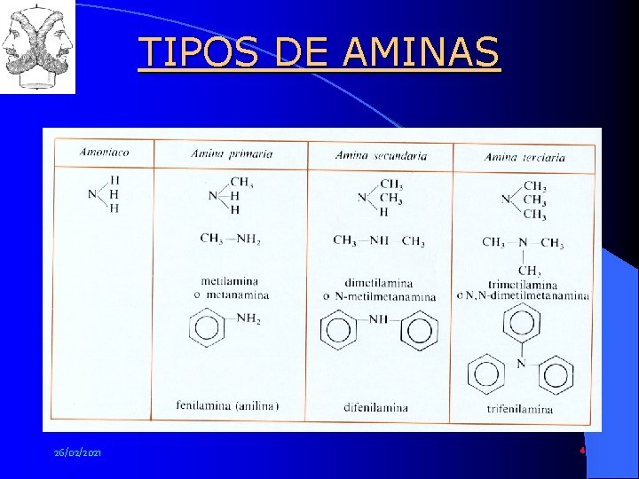 www. profesorjano. com TIPOS DE AMINAS 26/02/2021 4 