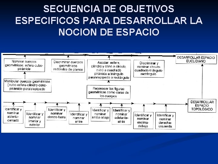 SECUENCIA DE OBJETIVOS ESPECIFICOS PARA DESARROLLAR LA NOCION DE ESPACIO 