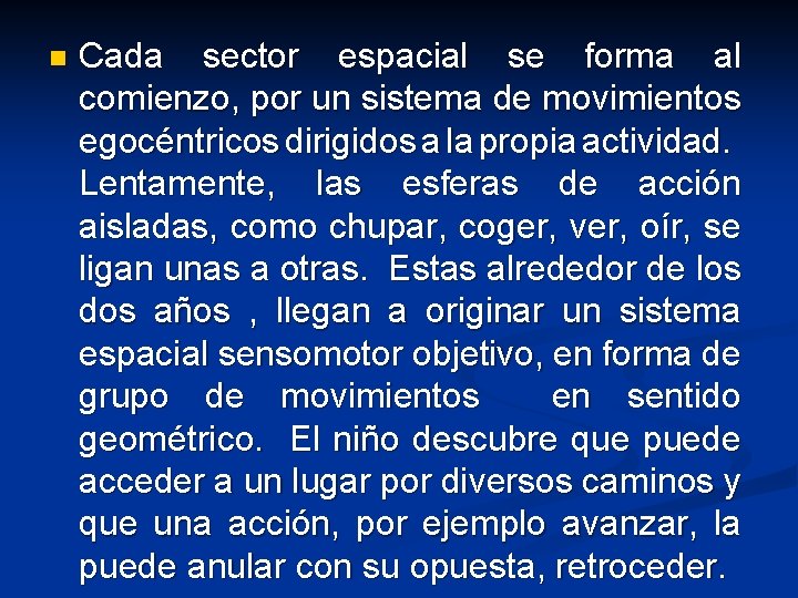 n Cada sector espacial se forma al comienzo, por un sistema de movimientos egocéntricos