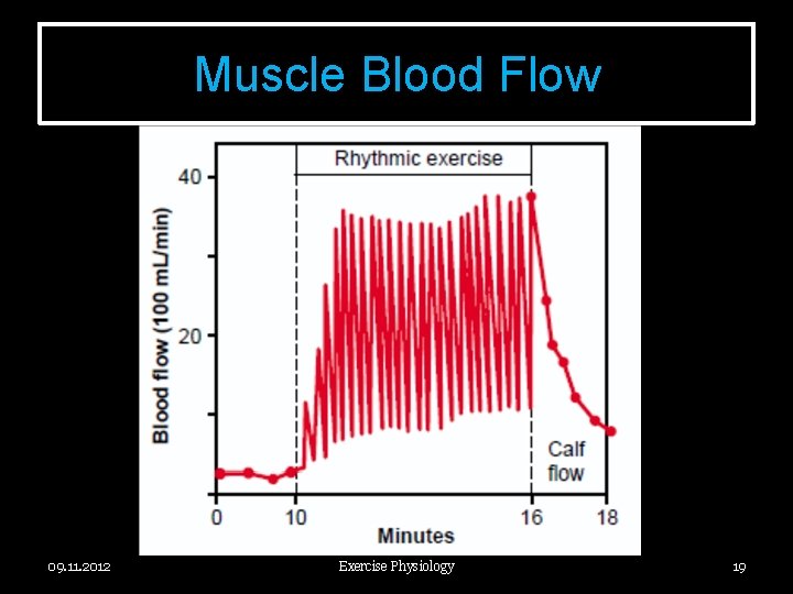 Muscle Blood Flow 09. 11. 2012 Exercise Physiology 19 